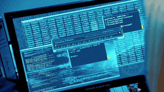 Lost Cryptocurrency to a Scam? What You Should Do Immediately